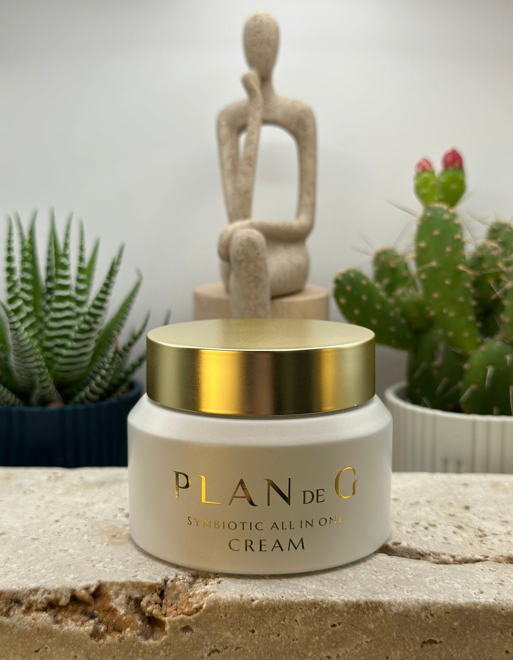 PLAN DE G Synbiotic All-in-One Cream
